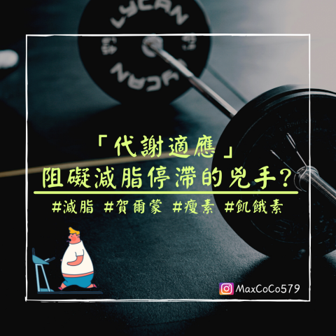 Max Kao - 內容及更多文章皆在IG帳號:Maxcoco579