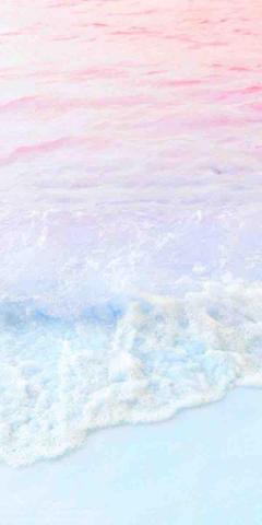 提供和解服務的專家Lisa接單中