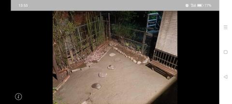 景椿園藝 - 竹林移處後 景椿園藝 - 竹林移處後