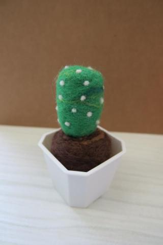 陳映君 -  羊毛氈-仙人掌