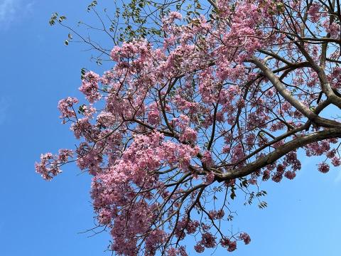 小玉個人接案 - 原圖