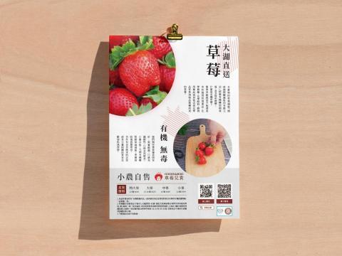 Yuuha - 水果商家 DM 設計