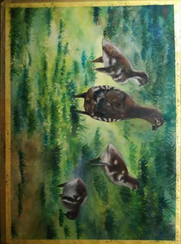 吳苔瑋 - 國一學生臨摹水彩作品