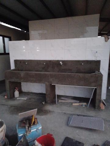 港口工程行 - 公廁新建中