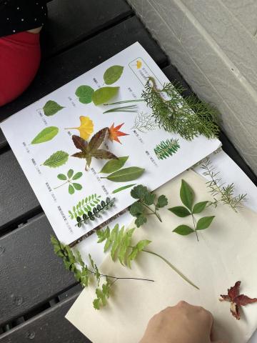 YuWen Tu - 自然植物認知教學