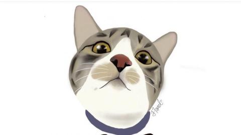 李品萱 - IPAD手繪繪圖