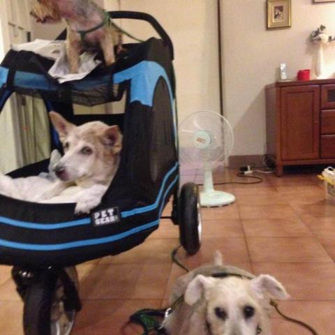 提供pchome喇叭服務的專家edward Lin