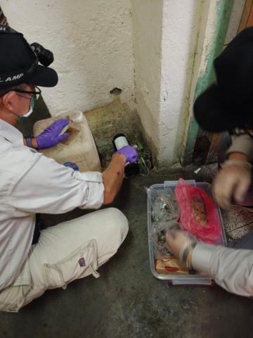 術誠病媒防治有限公司 - 鼠害防治