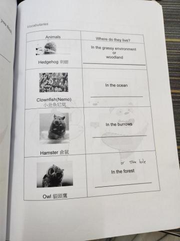 Juily Shih - 我編輯的text book