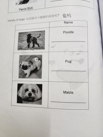 Juily Shih - 我編輯的text book