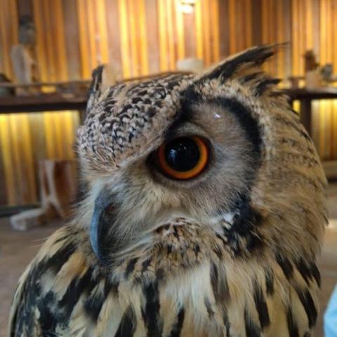 提供3d列印服務的專家蔡宗翰