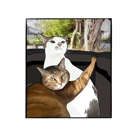 VKK - 插畫.似顏繪.寵物.汽車.人物