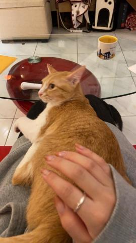 duo專業寵物照顧💗 - ?