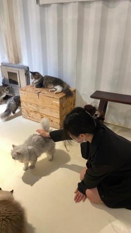 duo專業寵物照顧💗 - ❤️