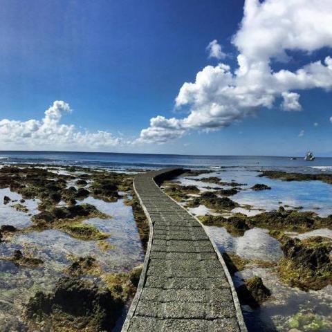 提供看板baseball服務的專家Cisia Lien