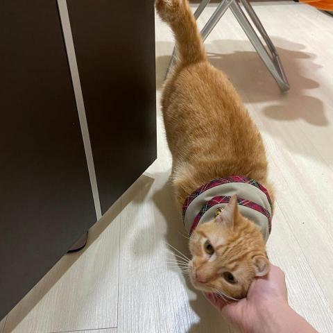 duo專業寵物照顧💗 - ??