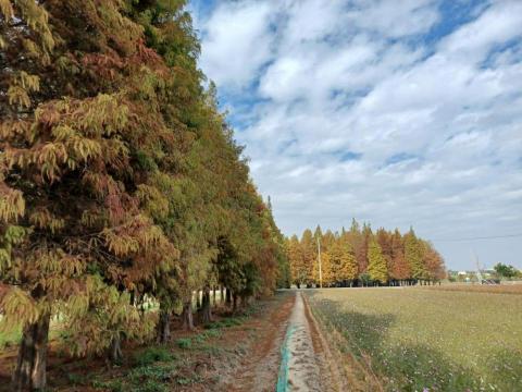 阿嘉包車旅遊🚙預約出行🚗機場接送✈歡迎洽詢喔！ - 