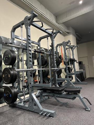 悠森訓練 兔兔 - 悠森訓練工作室(台中市南區德富路96巷8號)