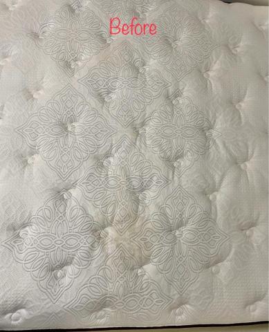 五葉草床墊沙發地毯清潔 - 血漬，尿漬容易因吸收周圍水氣而產生異味還有難去除的污點