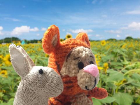 Joy針織娃娃 - 棒針(兔)與鉤針(虎)編織玩偶