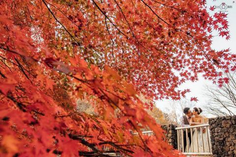 拍照老司機不用開美肌 -  拍照老司機不用開美肌 -