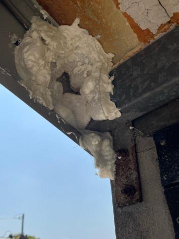 恆杰環衛有限公司 - 鼠洞封阻