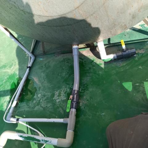 張禹陞-台中天公壇 - 