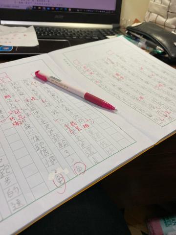 宋宸 國文個人指導 - 國小－高中 作文批改