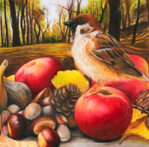 Jn - 色鉛筆寫實描繪