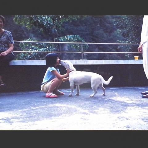 提供鳥寄宿服務的專家佳方