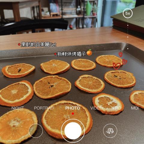 Mag - 果乾製作，低溫寵物雞肉乾