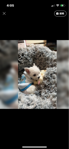 謝13/跑腿外送 - 湊分 