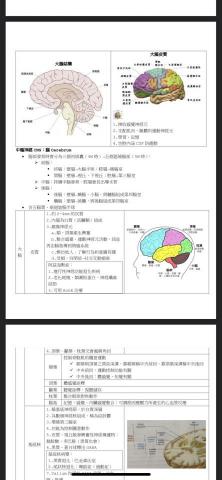 平民文坊 - 大學國考筆記(文字排版參考用) 平民文坊 - 大學國考筆記(文字排版參考用)