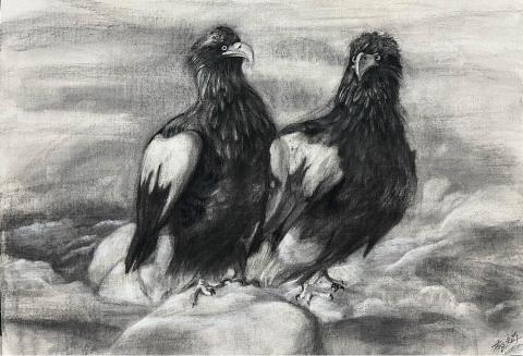 琦琦老師 - 炭筆素描-2