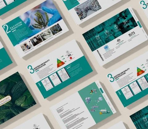 Eva - 平面設計/書籍設計/ 廣告設計