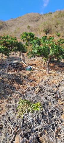 堤薌農產有限公司 -  堤薌農產有限公司 -