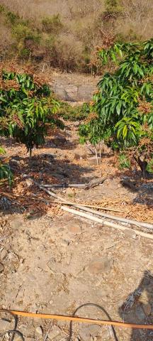 堤薌農產有限公司 -  堤薌農產有限公司 -