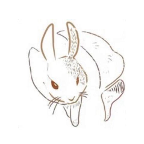 提供電繪板服務的專家+5