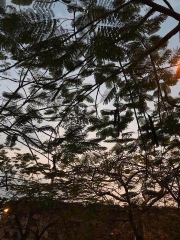 陳政彣 - 熱愛拍照