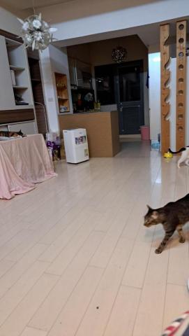 黃婷鈺 - 哈哈哈