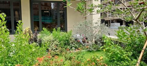 Plant & Speaking - 商空植栽規劃及施工