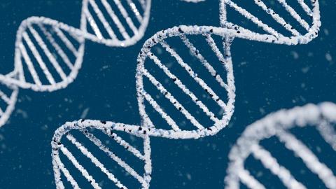 李皇澤 - Blender 3D建模與Photoshop精修