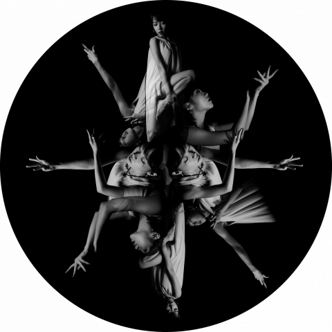 73Film - 商業藝術照