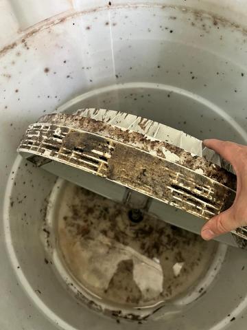 真潔淨洗衣機清洗 - 