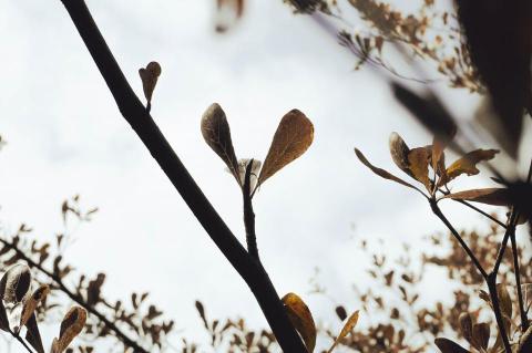 林思妤 - 攝影、照片色調後製