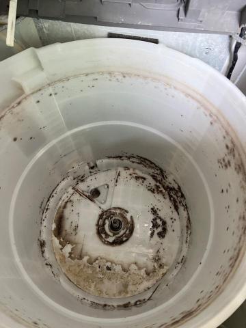 真潔淨洗衣機清洗 - 