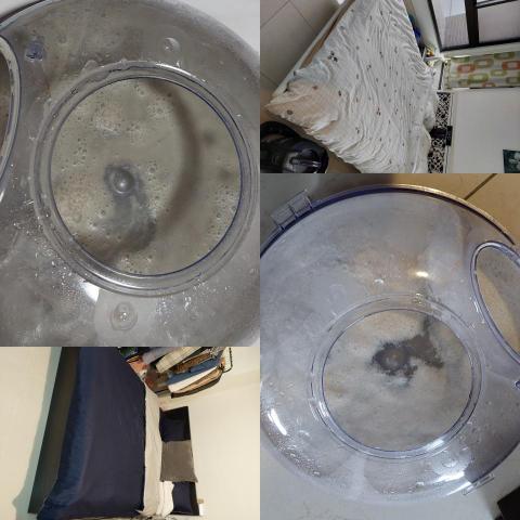 提供除蟎服務的專家除蟎大隊