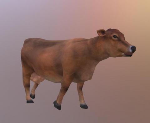 嘟嘟工作室 - 視覺設計師的3D建模作品