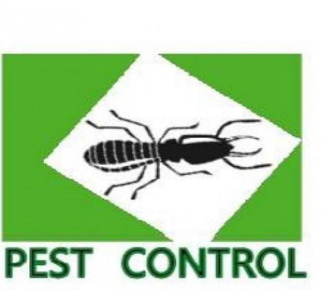 禾茂環境有限公司 - 病媒防治（ 除蟲、除鼠、除蟑、除蟻、除蚊、除蛾蚋、除蚤蠅、除蒼蠅、除白蟻、除蛀蟲、除蠹蟲、除嚙蟲、除嚙蟲、除跳蚤、除臭蟲、除壁蝨、除恙蟲、除煙甲蟲、社區消毒、大樓消毒、住家除蟲 ）
