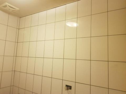 陳鵑兒 - 壁磚捧共拆除處理 修復工程